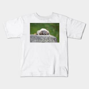 Marmot resting on a rock in Mount Rainier National Park Kids T-Shirt